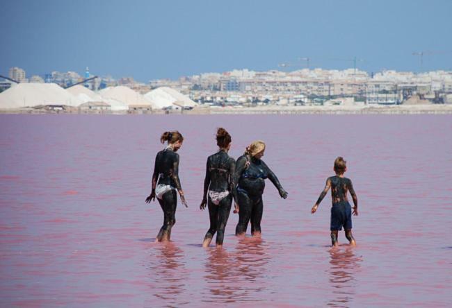 Torrevieja Apartment 外观 照片