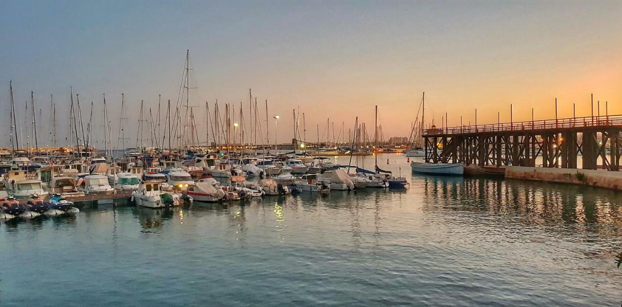 Torrevieja Apartment 外观 照片